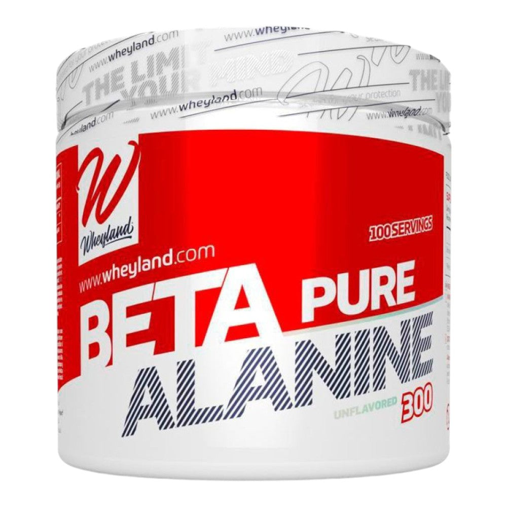 Beta Alanine 300 Gr_0
