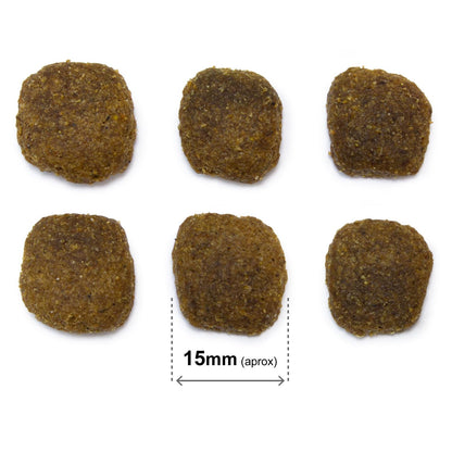 Pienso para perros  Original Salmón y arroz Arquivet 12 Kg 12 kg