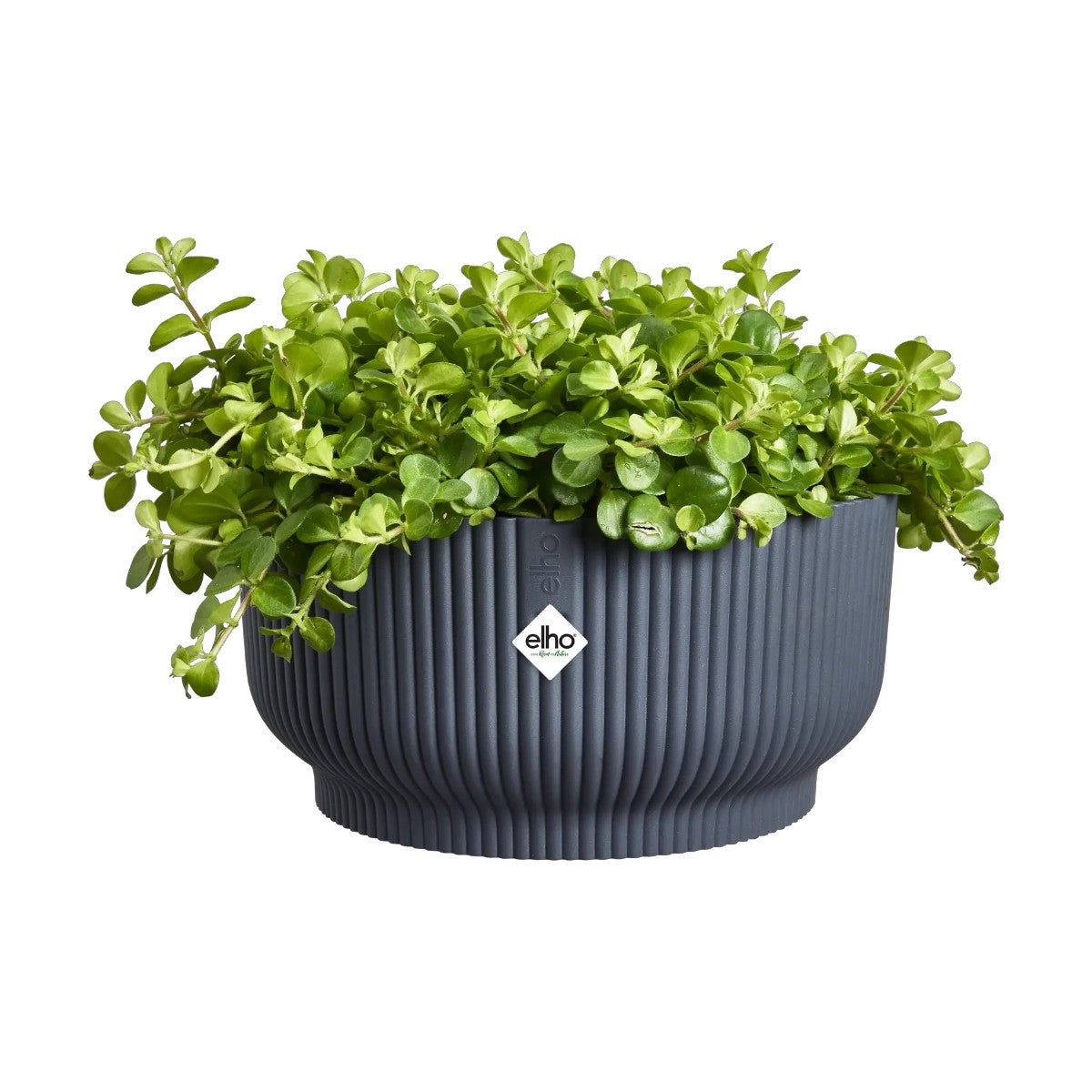 Maceta Antracita Vibes Fold Bowl Elho 25cm 100% reciclado