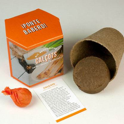 Kit Autocultivo Calçots Cultiva Cebollas Tiernas y Dulces en Casa - Resetea_1