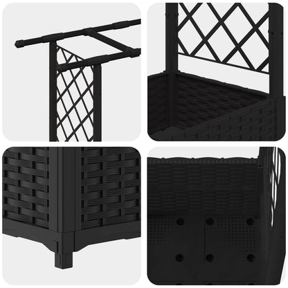Cama Elevada Con Trellis Y Techo Negro 162,5 X 40 X 136 Cm Pp_5
