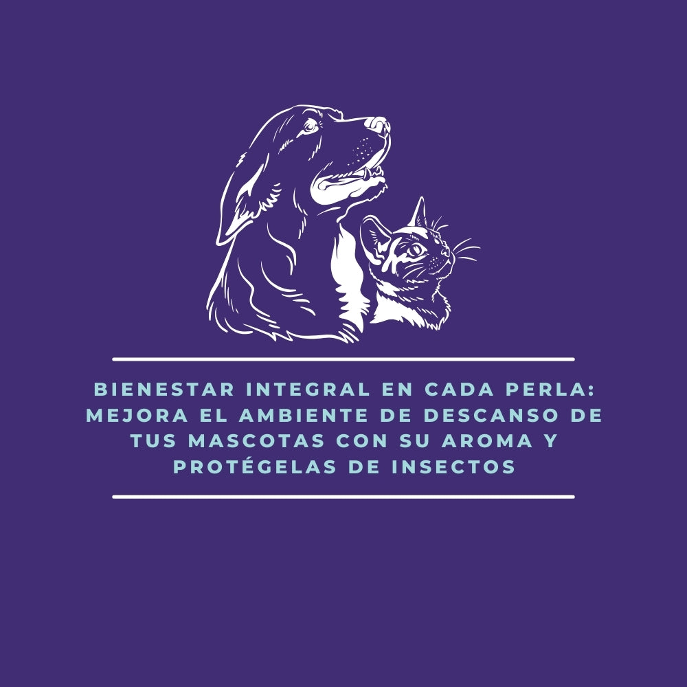 Perlas de Lavanda– Aroma Relajante, Repelente de Insectos y Apoyo Digestivo Natural - 200 gr_2