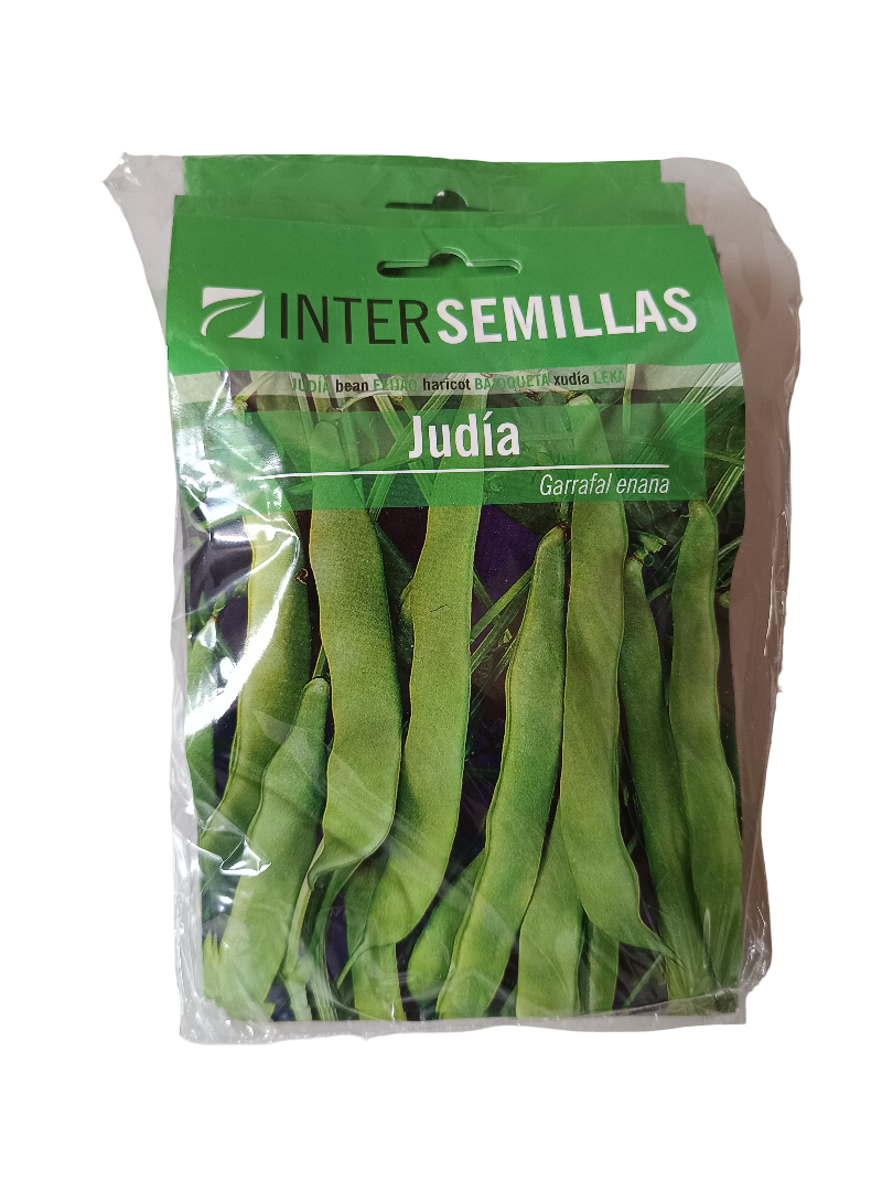Semillas De Judia Garrafal Enana_0