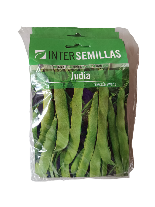 Semillas De Judia Garrafal Enana_0
