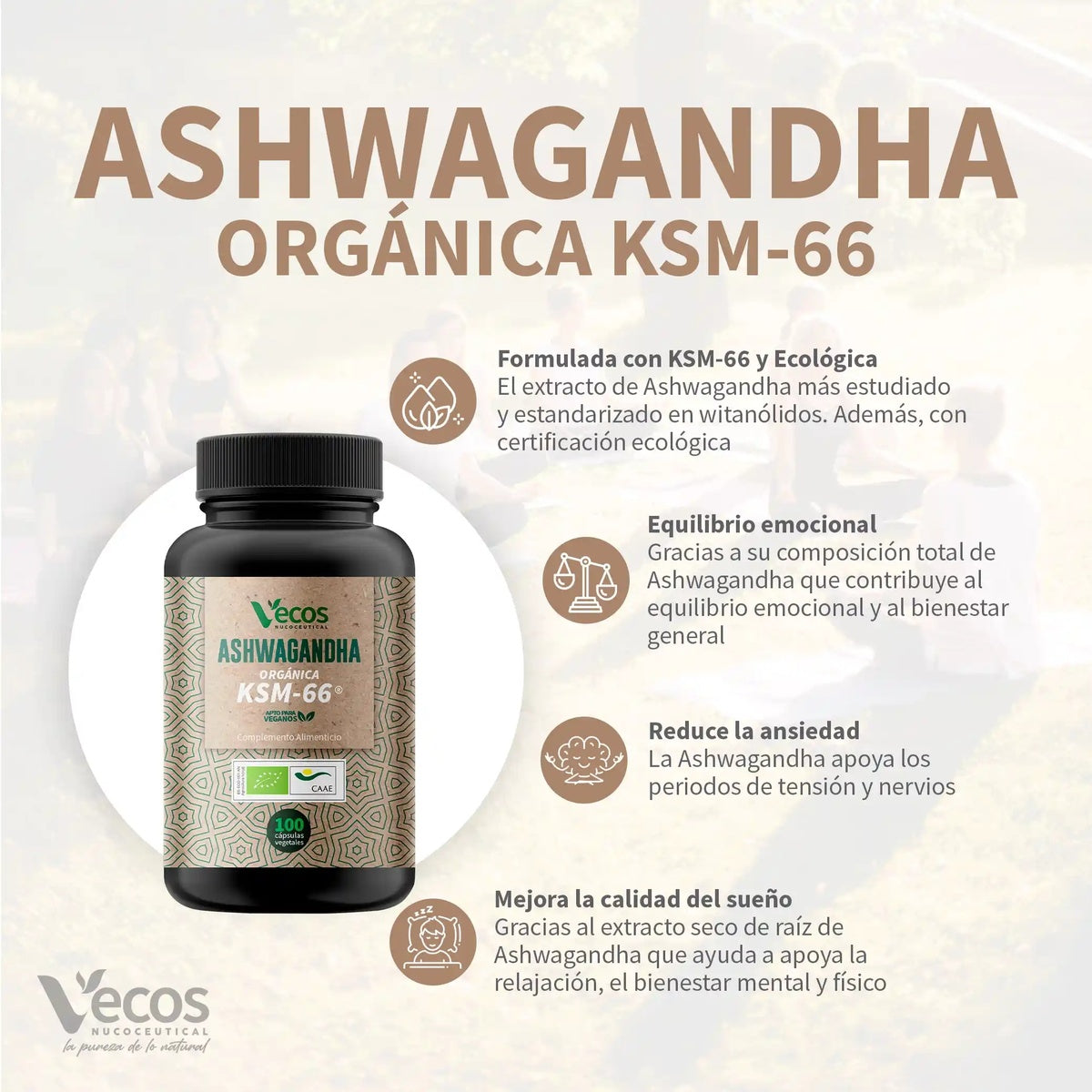 Ashwagandha KSM 66 eco Vecos 100 capsulas