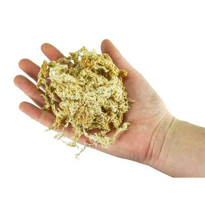 Sustrato musgo Sphagnum para bonsái 150 g