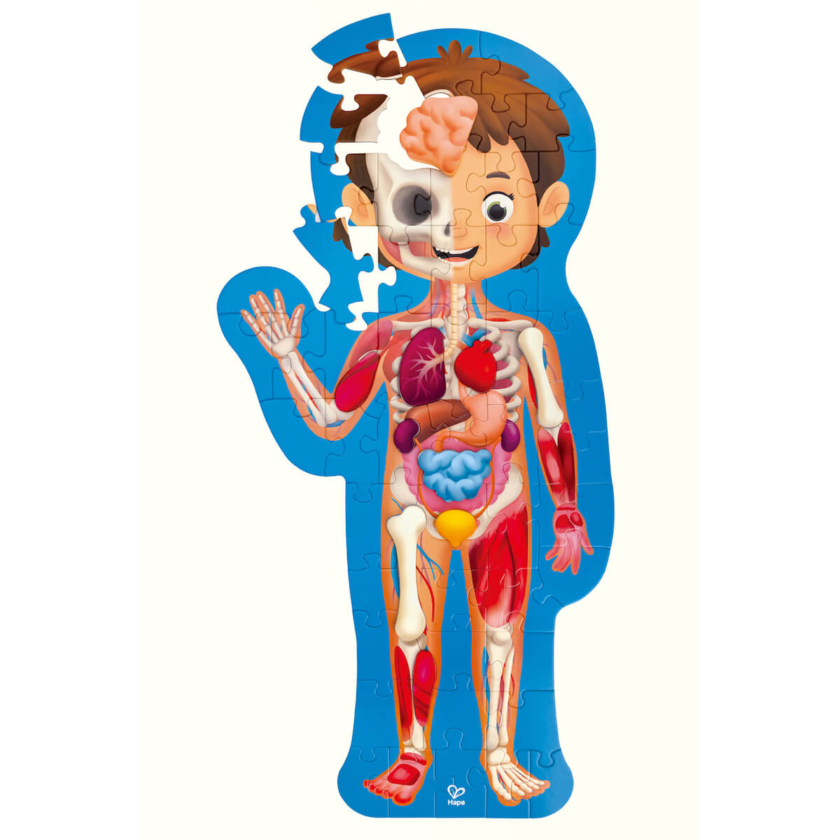 Puzzle 60pzas Human Body Hape_2