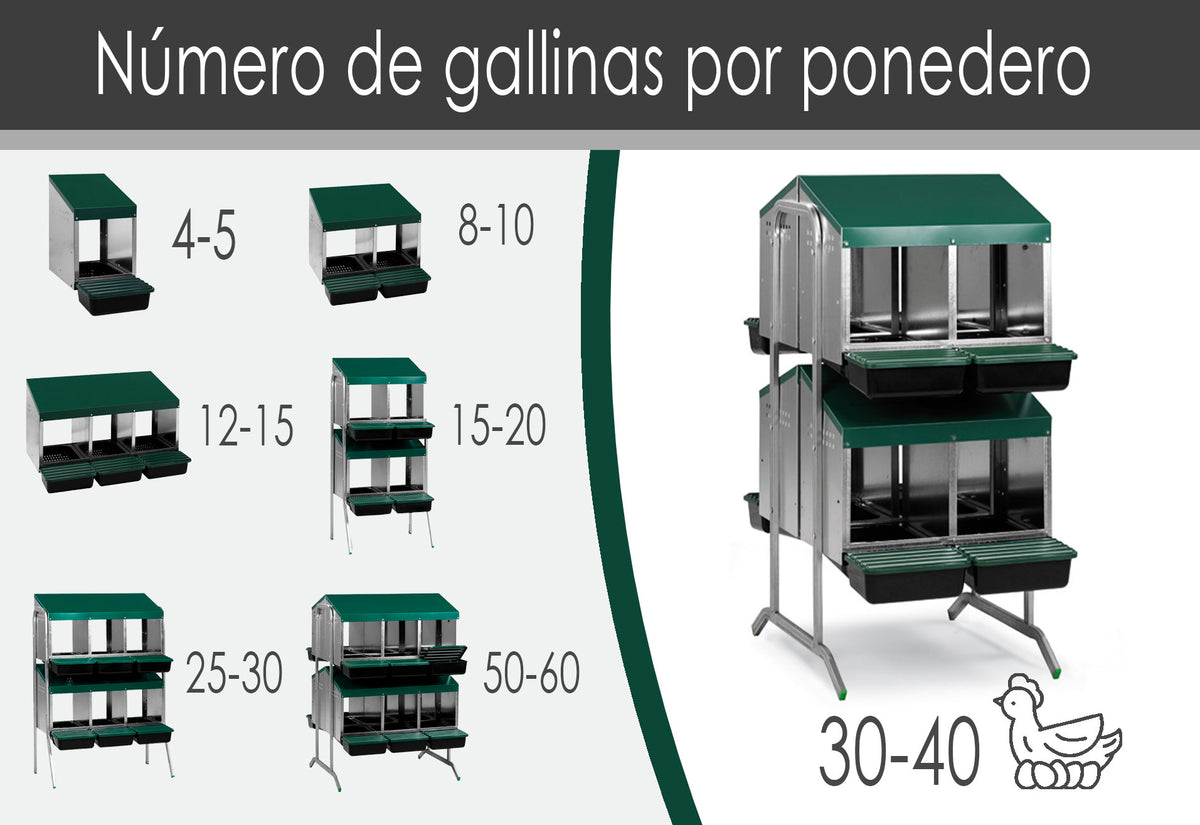 Ponedero Para Gallinas Con Cajón Escamoteador - 8 Huecos_1