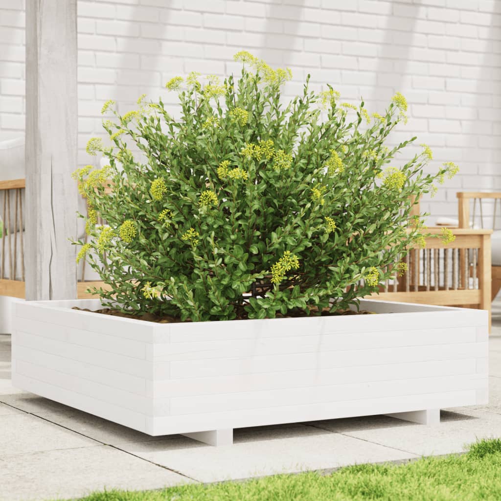 Jardinera De Madera Maciza De Pino Blanco 90x90x26,5 Cm_1