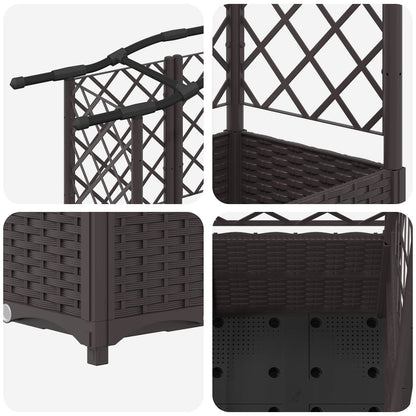 Cama Elevada Con Trellis Y Techo Marrón 204 X 40 X 138 Cm Pp_5