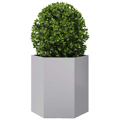 Jardineras Hexagonales 2 Uds Acero Inoxidable 46x40x45 Cm_4