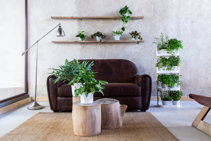 Soporte Modular Citysens De 4 Bandejas Y Semillas Aromáticas – Blanco, Polipropileno 100% Reciclado Y Madera Ecológica_2