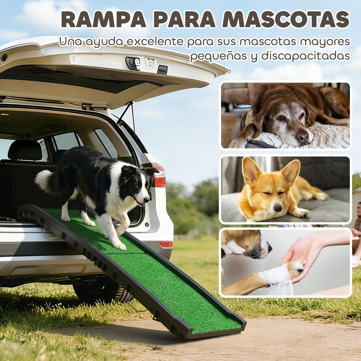Pawhut Rampa Para Perros Con Césped Artificial 155 Cm Para Coche Plegable Con Asa_3