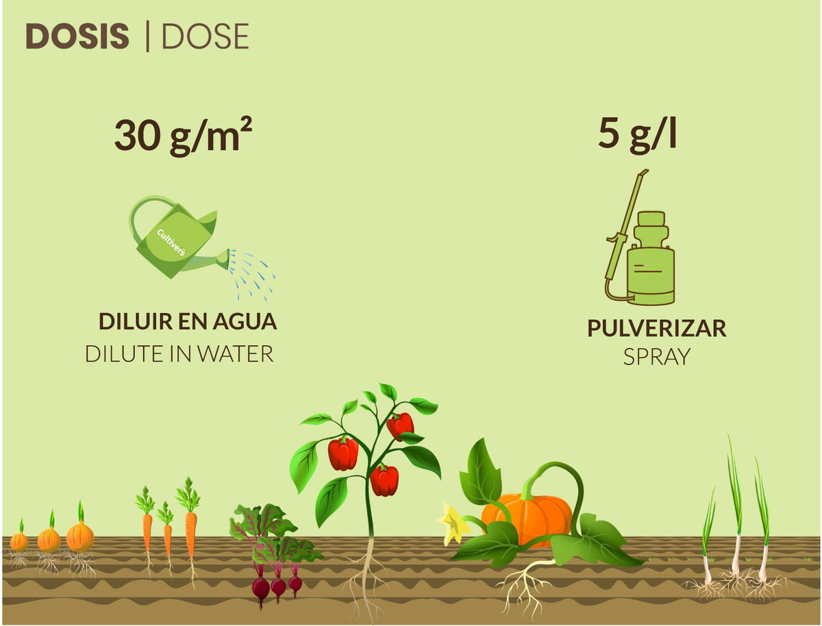 Cultivers Sulfato De Magnesio 2,5 Kg | Sustancia Mineral Hidrosoluble Para Jardinería Y Uso Técnico | Disolución En…_1