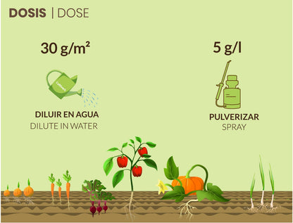Cultivers Sulfato De Magnesio 25 Kg | Sustancia Mineral Hidrosoluble Para Jardinería Y Uso Técnico | Disolución En…_1