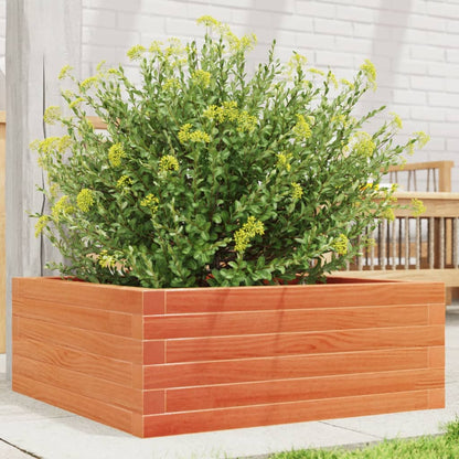 Jardinera De Madera Maciza Pino Marrón Cera 60x60x23 Cm_1