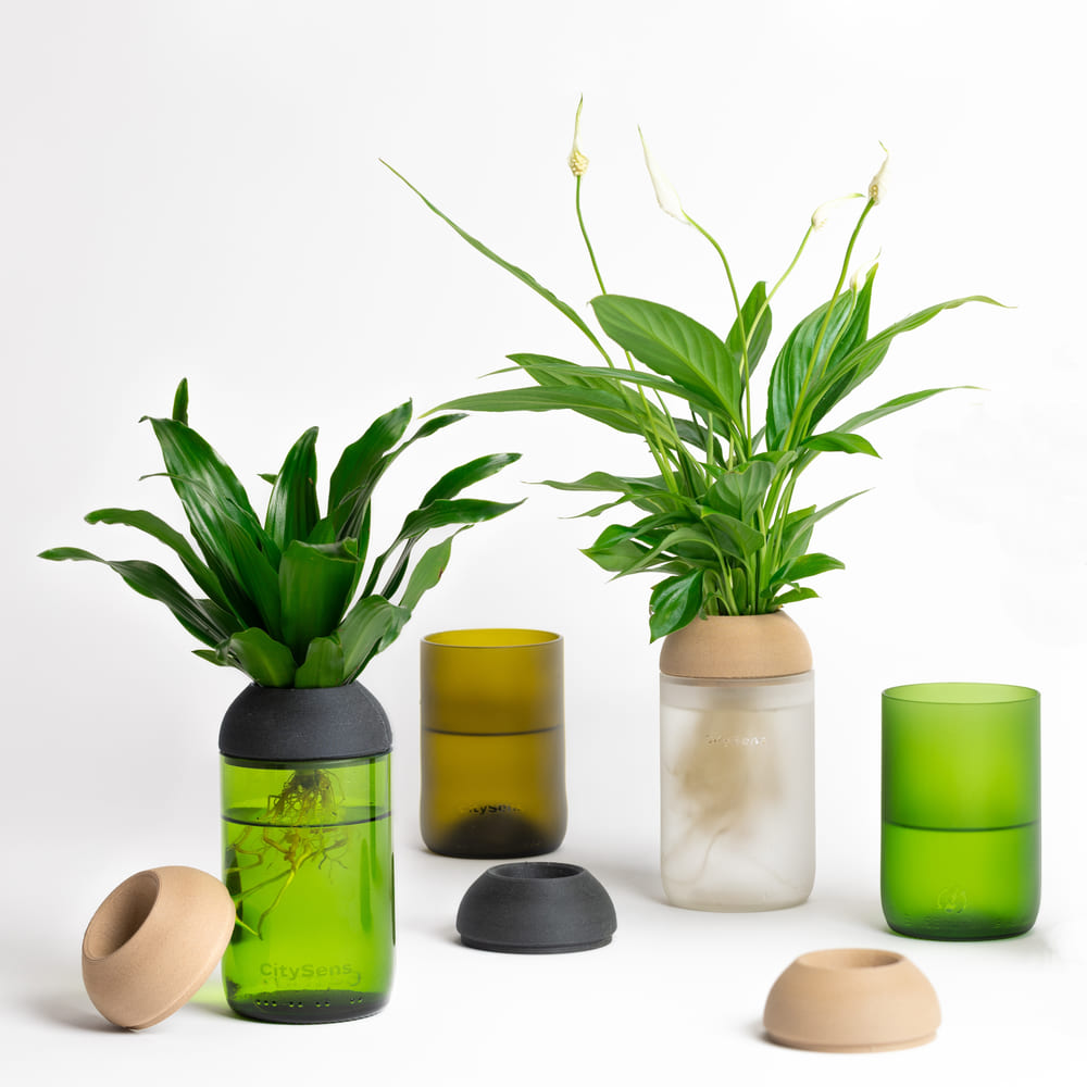 Macetero Transparente Citysens Con Soporte De Ébano – Verde, Vidrio Reutilizado Y Biofilamento De Madera 3d_2