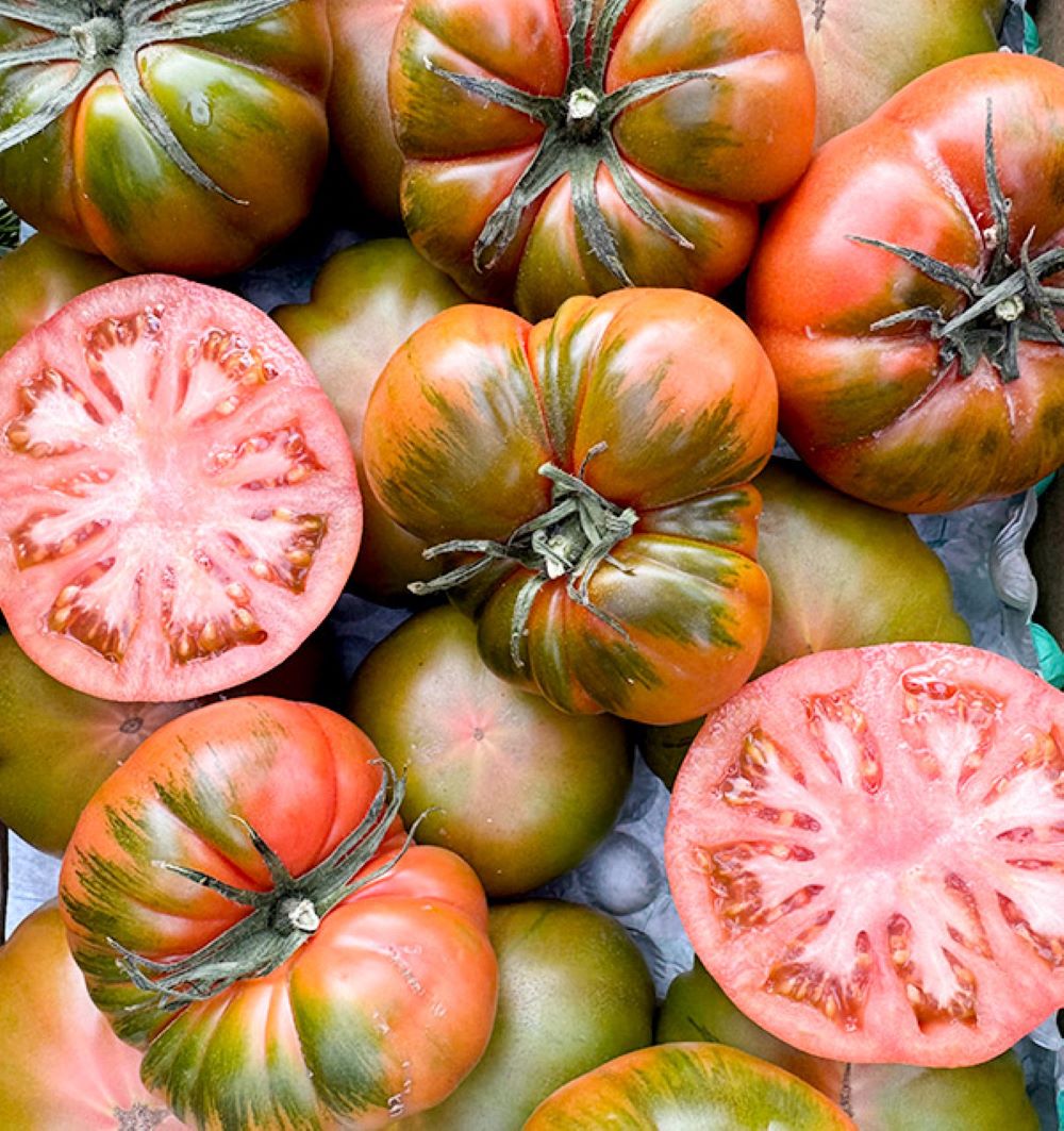 Caja De Tomates Raf De Temporada Tropitop Caja De 2kg_3