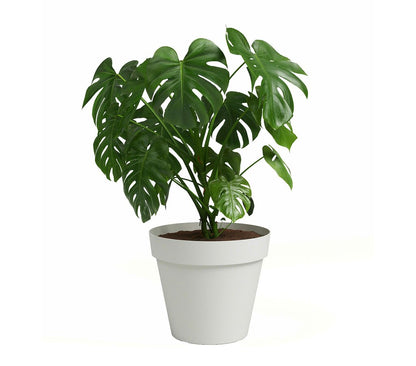 Artevasi Macetero De Plástico Capri Blanco 30cm_1