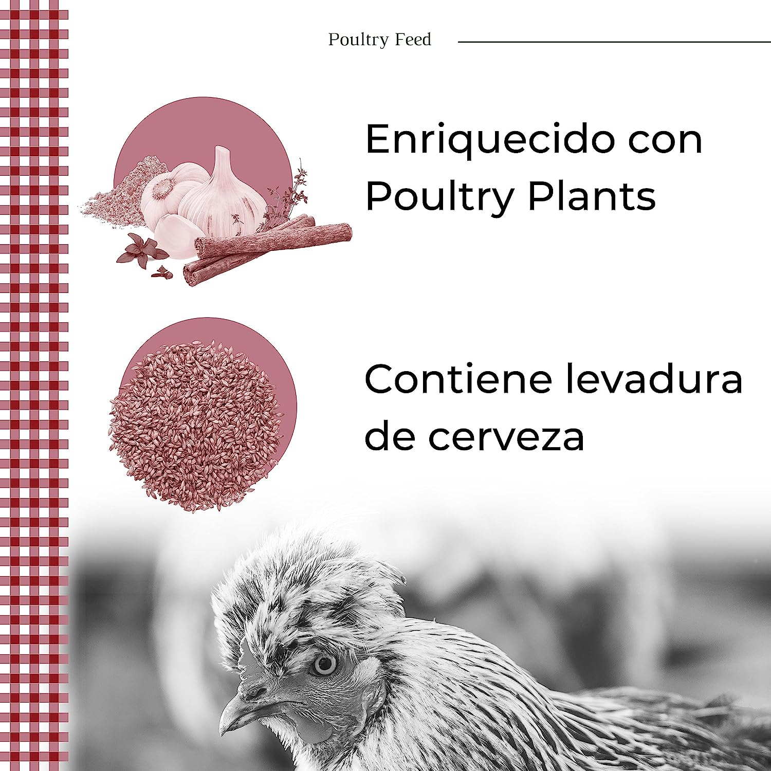Pienso De Recría Poultry Feed_1