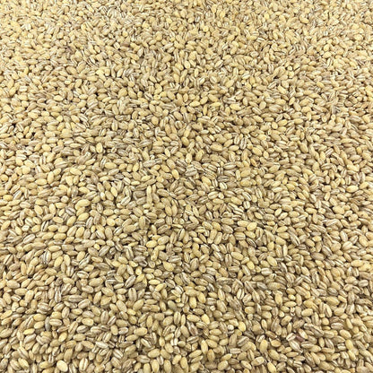 Cebada Ecológica Granel 0,5 Kg_2