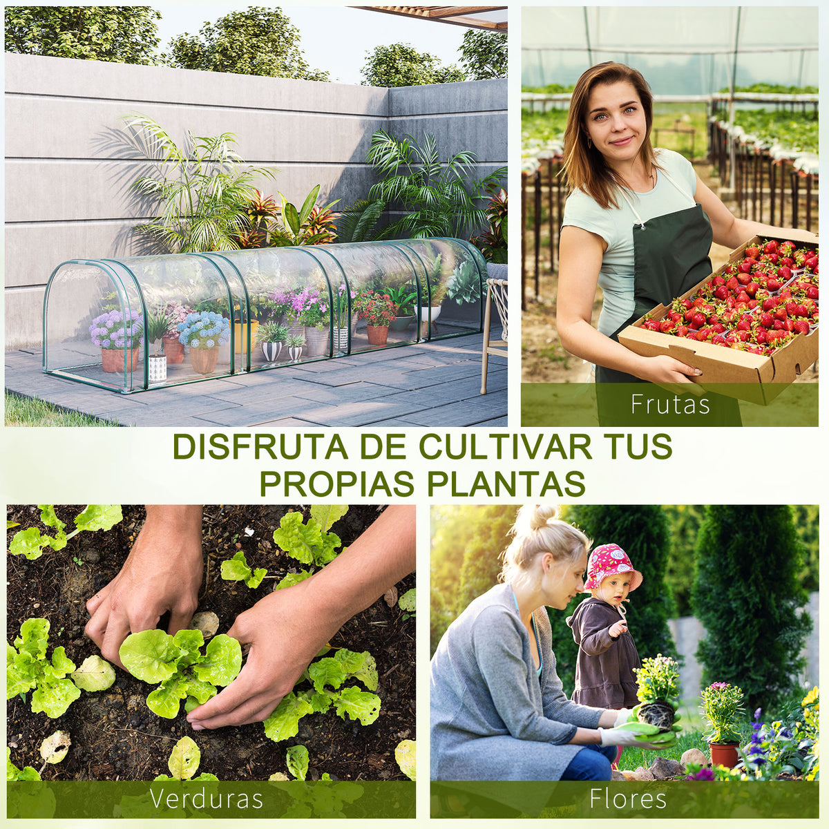 Outsunny Invernadero Caseta Para Jardín Terraza Cultivo De Planta Semilla_5