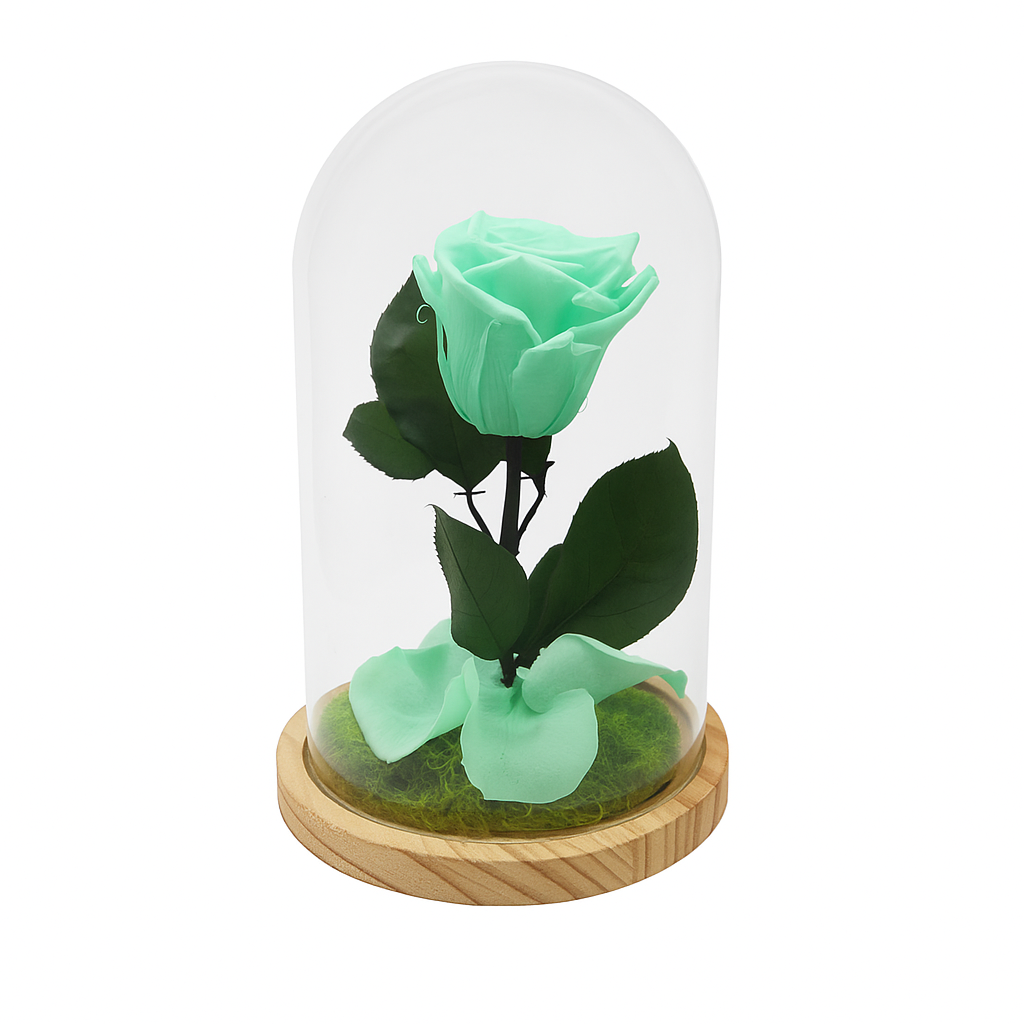 Mundo Eterno Rosa En Cúpula Verde Menta 12x20cm_1