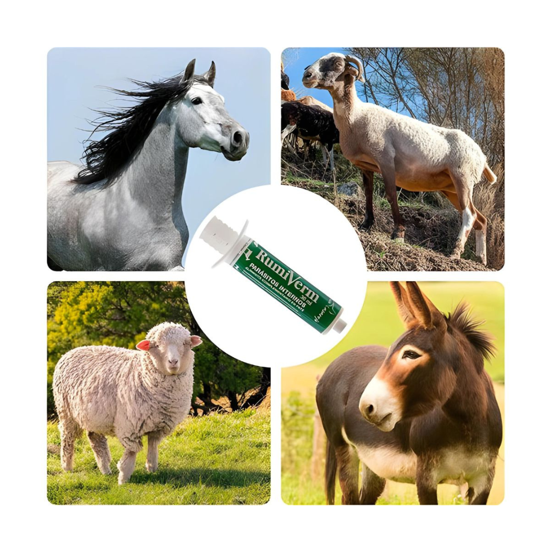 RumiVerm (30ml) - Complemento nutricional en pasta para cabras, ovejas y otros rumiantes – Apoyo digestivo_1
