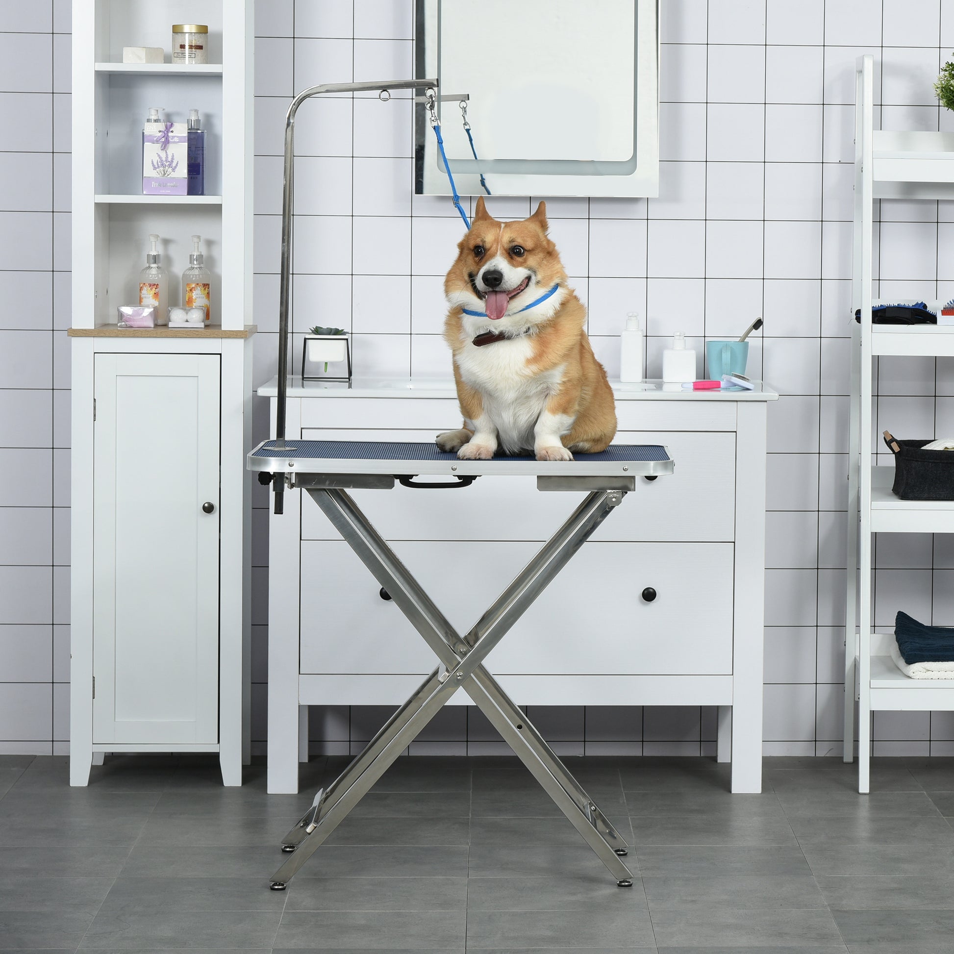 Pawhut Mesa De Peluquería Para Mascotas Con Patas Plegable 72x45x74-81 Cm Azul_4