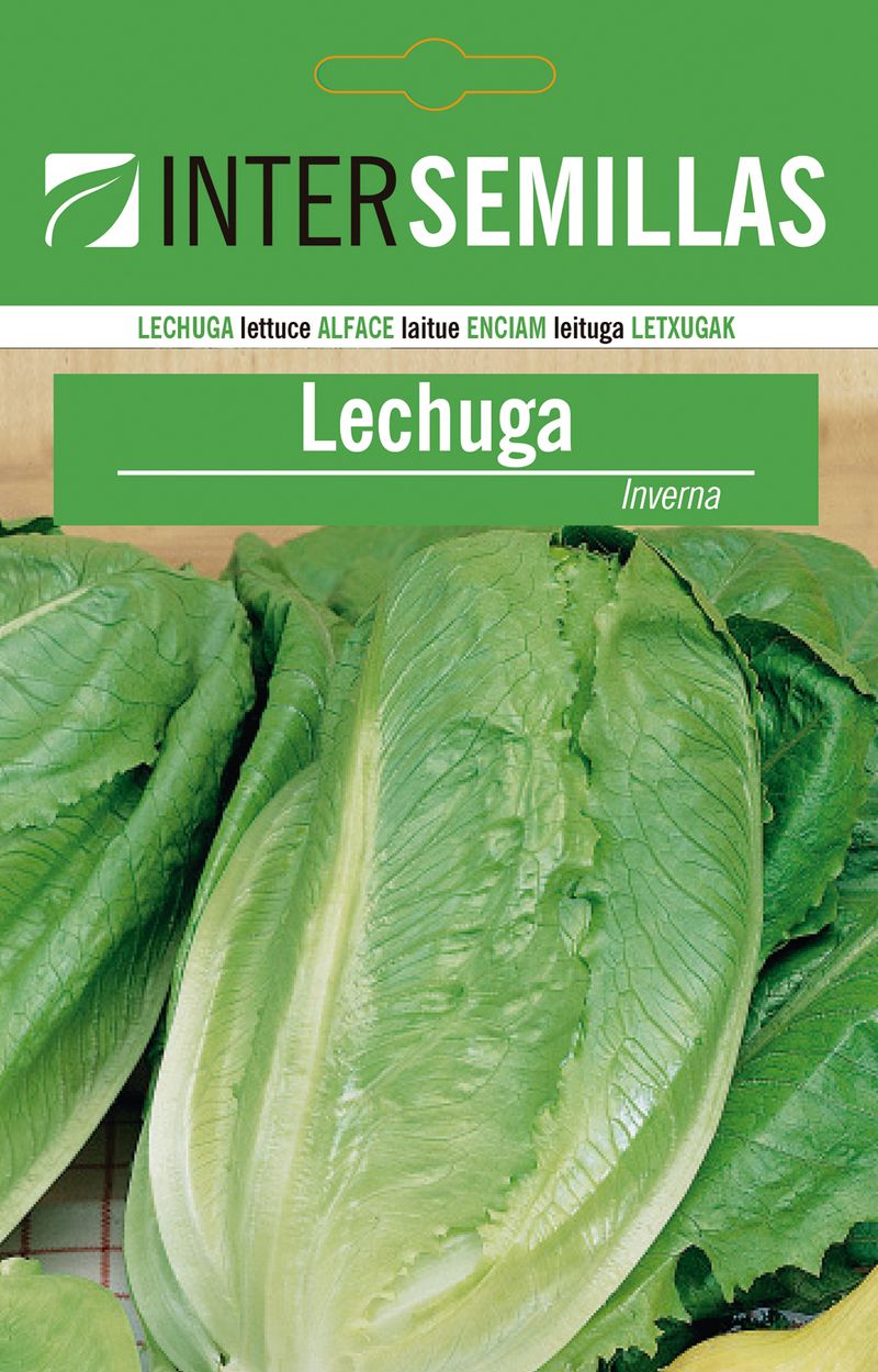 Sobre De Semillas De Lechuga Inverna_0