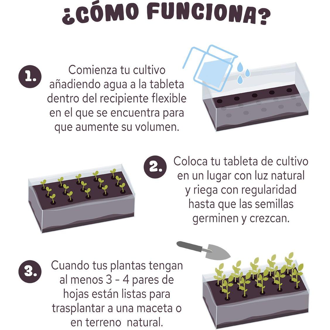 Tableta de cultivo Girasol