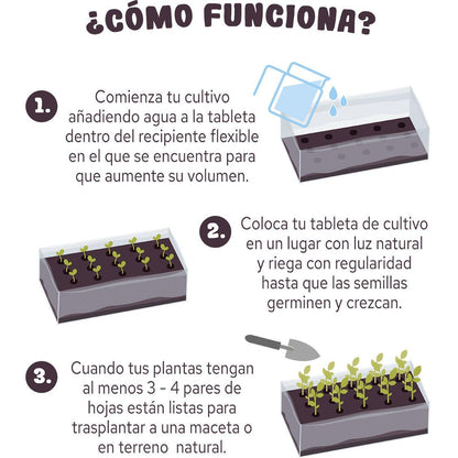 Tableta de cultivo Girasol