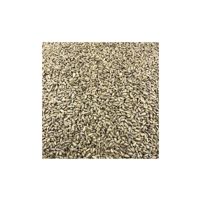 Semillas De Girasol Bio Granel 25 Kg_1