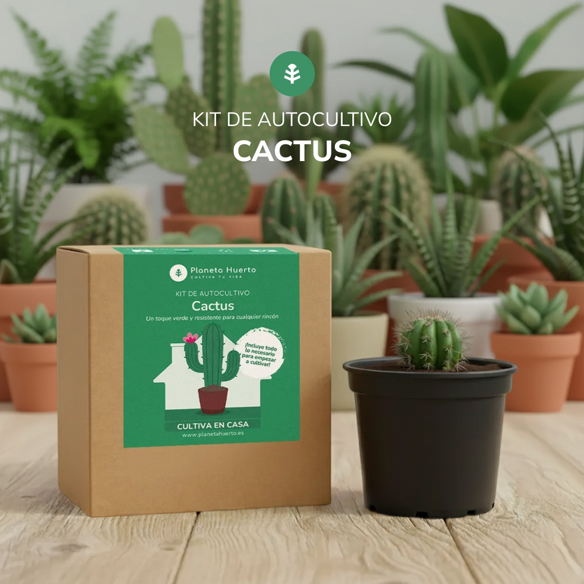 Kit de autocultivo Cactus Planeta Huerto