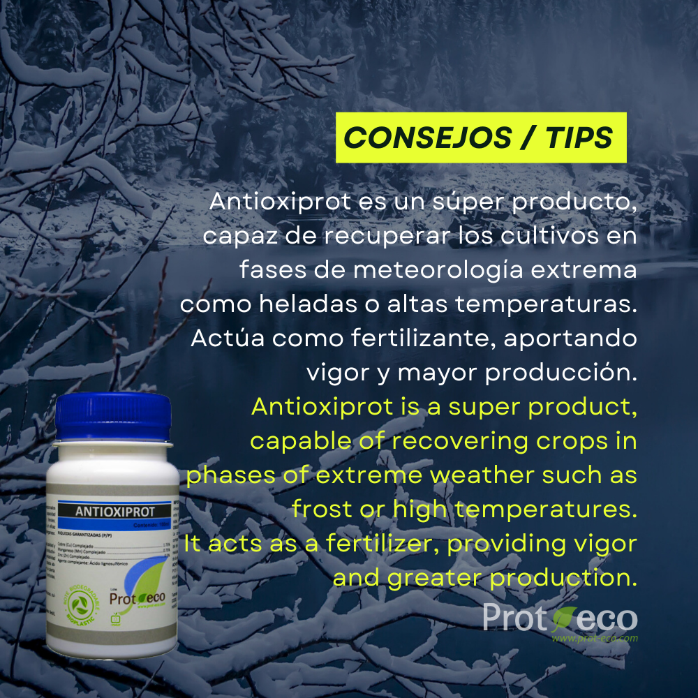 Protector antiheladas eco para plantas frente a lluvia y humedad Antioxiprot Prot-Eco (100 ml)+pipeta 5ml gratis_1
