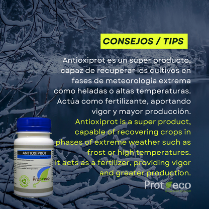 Protector antiheladas eco para plantas frente a lluvia y humedad Antioxiprot Prot-Eco (100 ml)+pipeta 5ml gratis_1