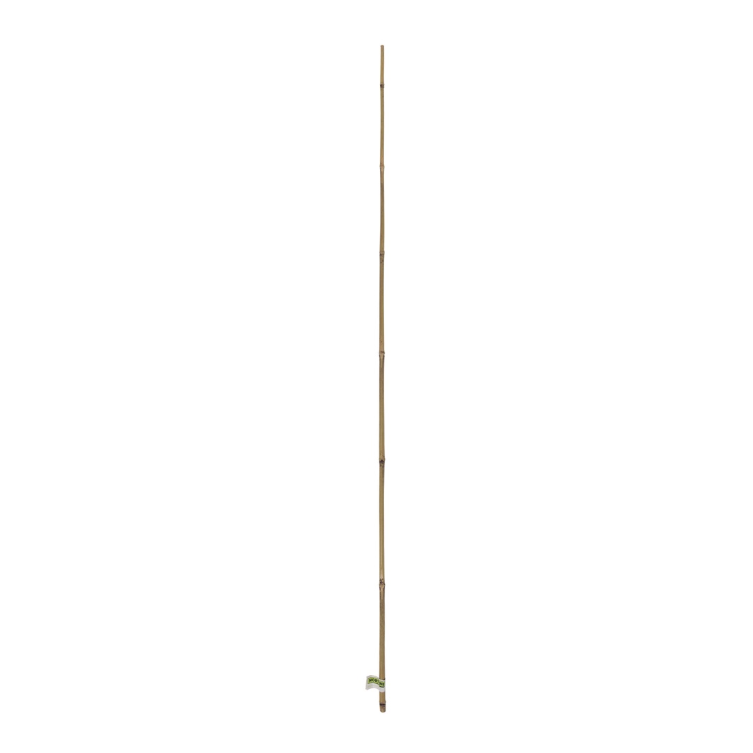 Tutor De Bambu 10-12 Mm 1,2 M Nortene_1