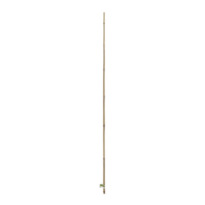 Tutor De Bambu 10-12 Mm 1,2 M Nortene_1