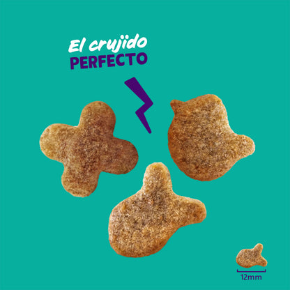 Galletitas de Salmón Premios naturales para gatos Edgard Cooper 50 g
