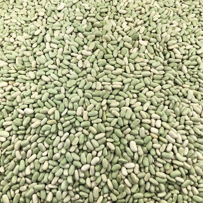 Flageolet Orgánico Granel 0,5 Kg_2