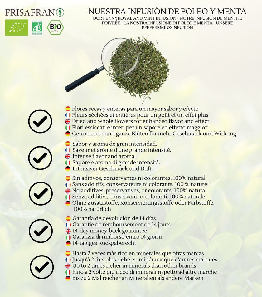 Infusión De Poleo Menta A Granel Ecológica | Frisafran 100 G_3
