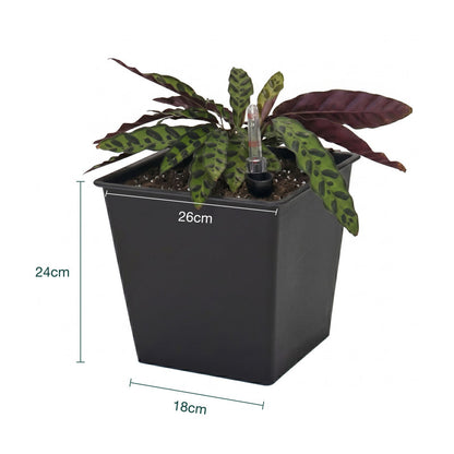 Pack De 3 Macetas Autorriego De Polipropileno Interior Y Exterior Hortalia 16 L 26x26x24 Cm_2