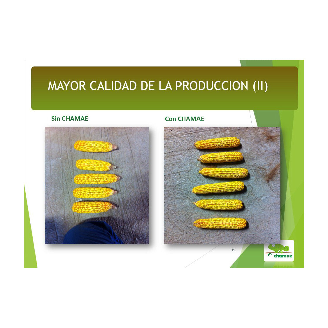 Fertilizante Chamae + Fúlvicos Ecológico 5 Litros, Uso Doméstico._1