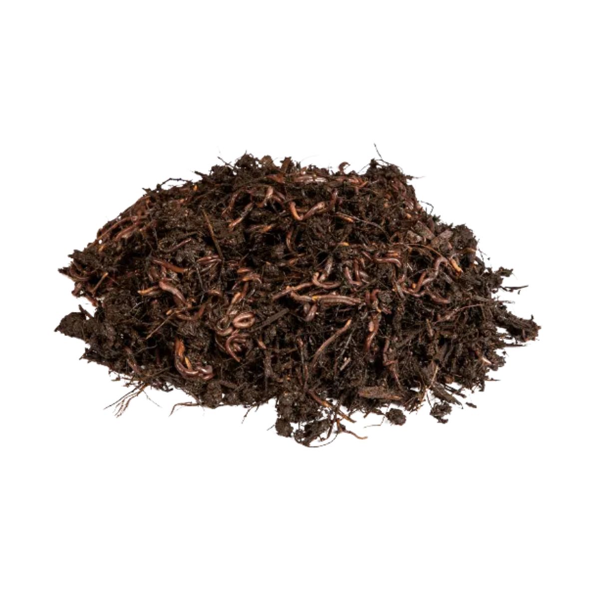 Lombrices rojas californianas para vermicompost Multihuerto 150 ud
