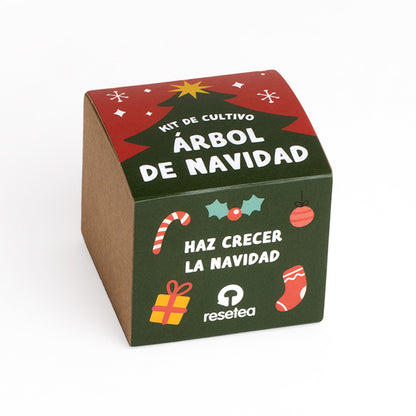 Kit Árbol de Navidad para Cultivar en Casa - Pino de Navidad, Regalo Original - Resetea_0