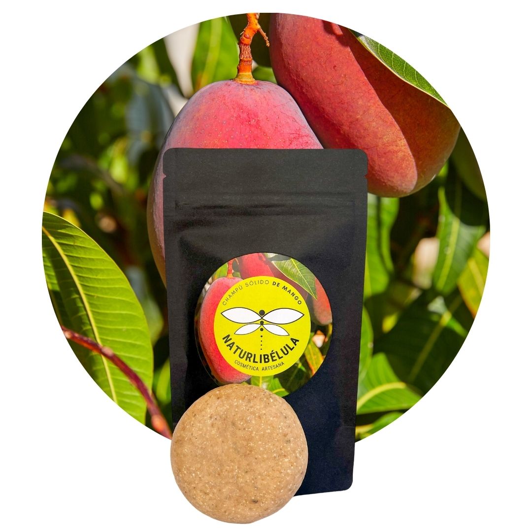 Champú Sólido De Mango Natural – Hidratante Y Reparador_0
