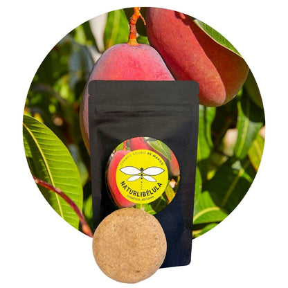 Champú Sólido De Mango Natural – Hidratante Y Reparador_0
