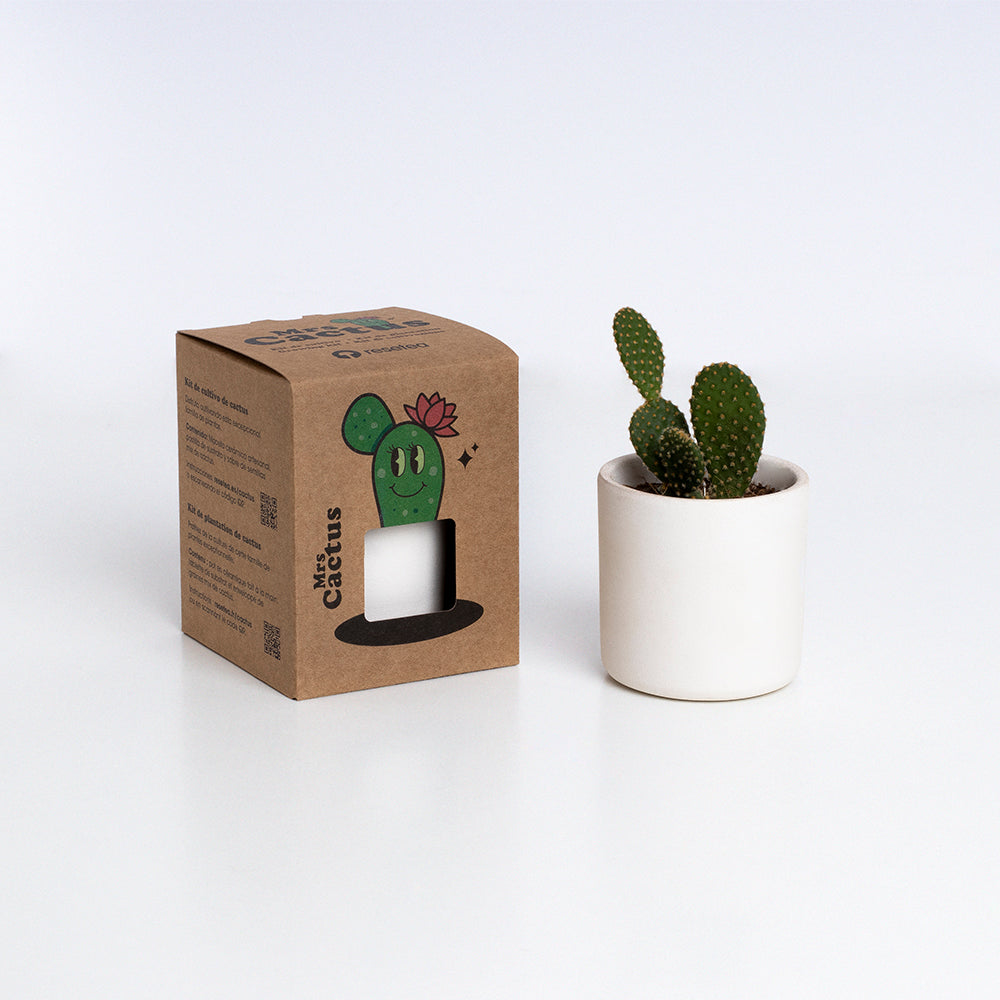 Mrs. Cactus Kit de Cultivo de Cactus con Maceta de Barro Artesanal | Regalo Original - Resetea_2