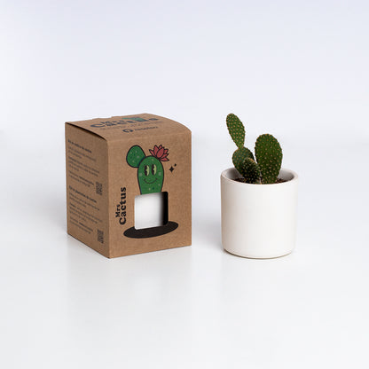Mrs. Cactus Kit de Cultivo de Cactus con Maceta de Barro Artesanal | Regalo Original - Resetea_2