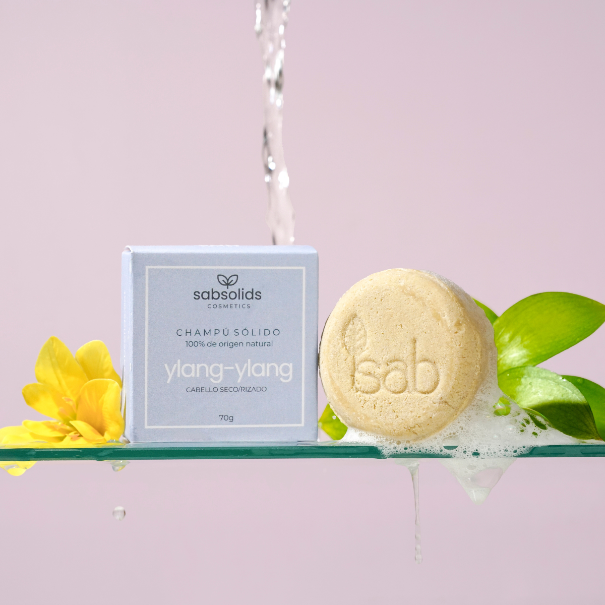 Champú De Ylang-ylang Para Cabellos Secos O Rizados, Sabsolids 70g_1